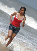 Priyamani Hot Pics